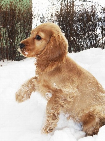 6f Anny-3.2.2010.JPG